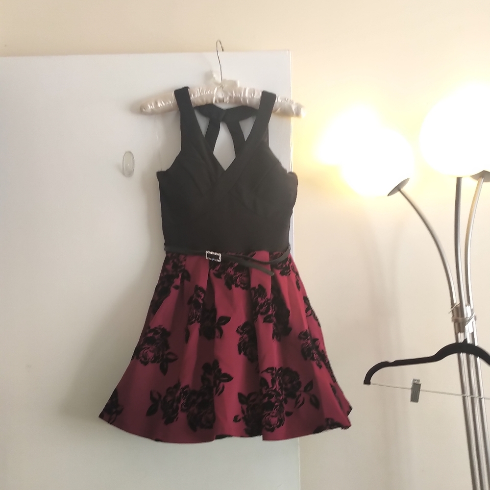 Crystal Doll Black Burgundy Red Roses Velvet Crystal Tulle Mini Poofy Victorian